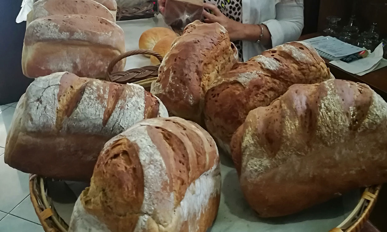 lovina bakery bread rolls